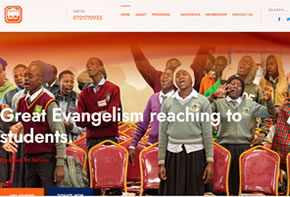Organization website design in Kenya