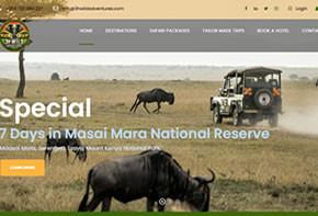 safari website Design