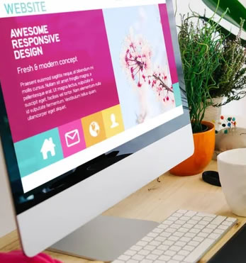 website design experts